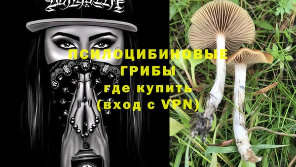 СК Каменск-Шахтинский