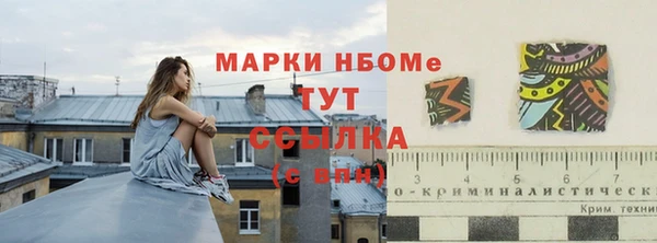СК Каменск-Шахтинский