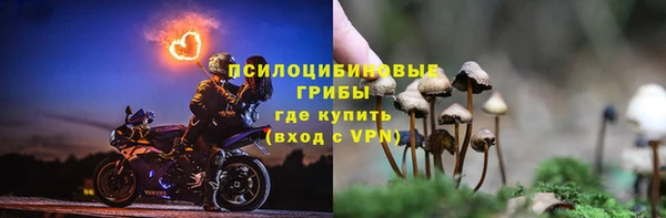 СК Каменск-Шахтинский