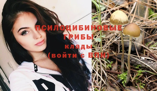 СК Каменск-Шахтинский