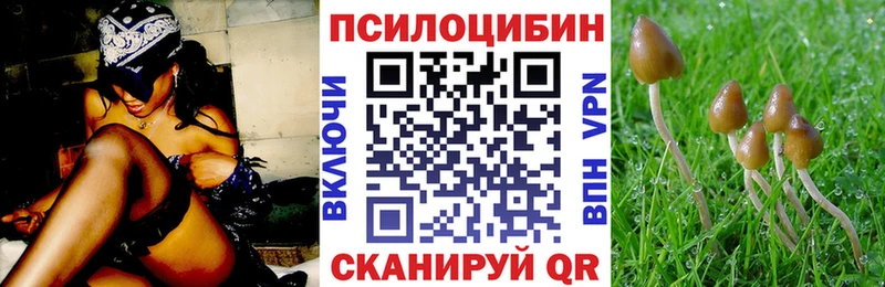 Купить где  Сергач  Псилоцибиновые грибы GOLDEN TEACHER 